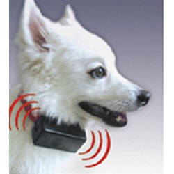 Bark Control Collar only $13.95 from Gift Find Online